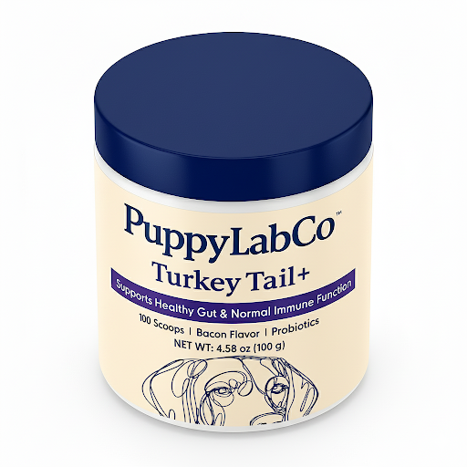 TurkeyTail+ Probiotics™ Formula