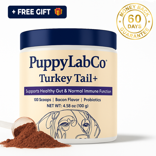TurkeyTail+ Probiotics™ Formula