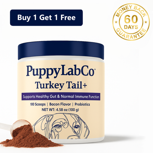 TurkeyTail+ Probiotics™ Formula