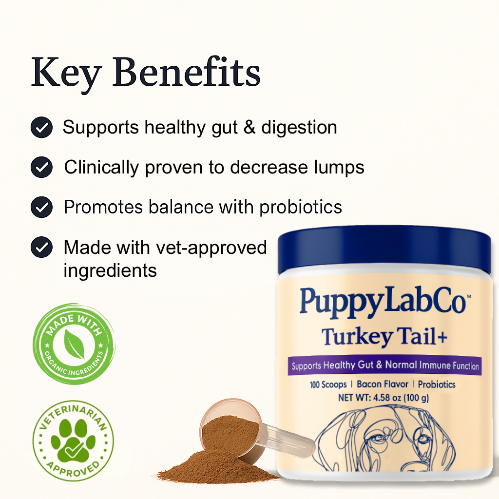TurkeyTail+ Probiotics™ Formula