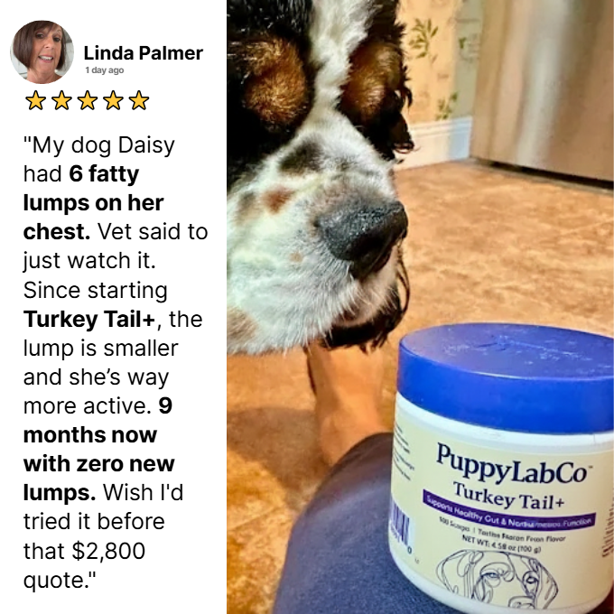 TurkeyTail+ Probiotics™ Formula