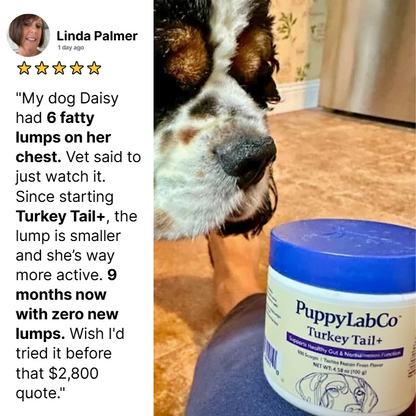 TurkeyTail+ Probiotics™ Formula